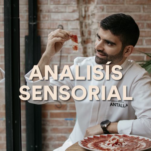 Curso Análisis Sensorial